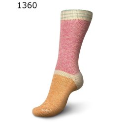 Regia Pairfect vintage color