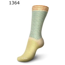 Regia Pairfect vintage color