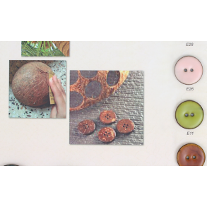 Kokosknapp med epoxy 20mm