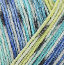 Regia Day Dreaming color 4 ply 100g