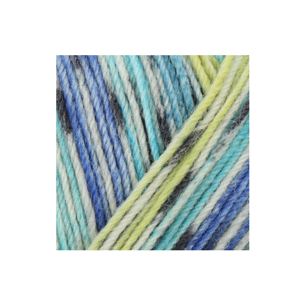 Regia Day Dreaming color 4 ply 100g