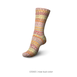 Regia Day Dreaming color 4 ply 100g