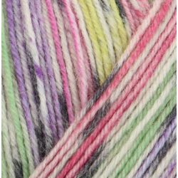 Regia Day Dreaming color 4 ply 100g